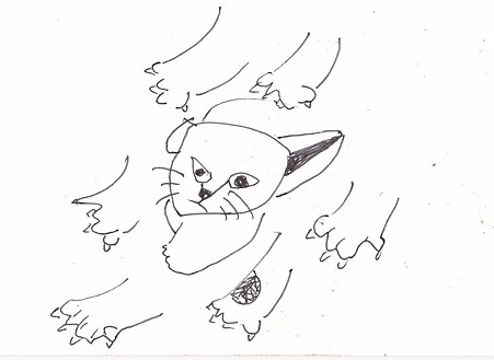 千手ねこパンチ!
