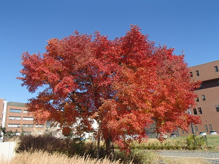 PC034727