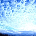 羊雲の朝