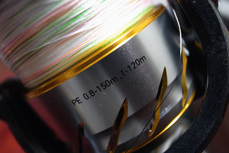 RIMG2708