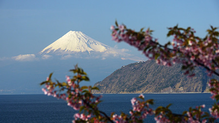 P1000733