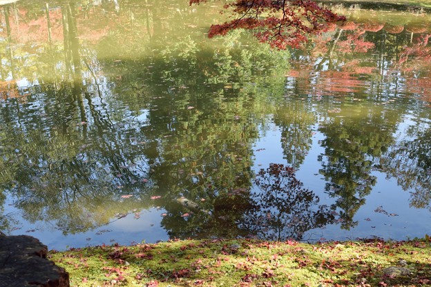 DSC_0020-001虎渓山永保寺