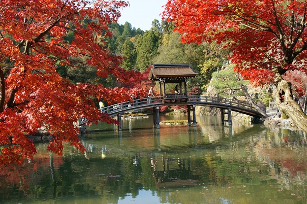 虎渓山永保寺4
