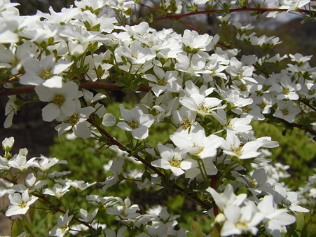 RIMG0064