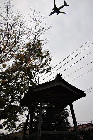 traveling alone(146)