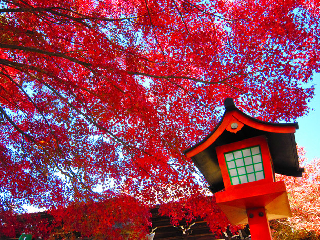 犬山寂光院