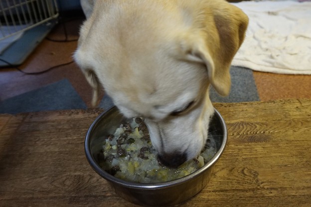 よし