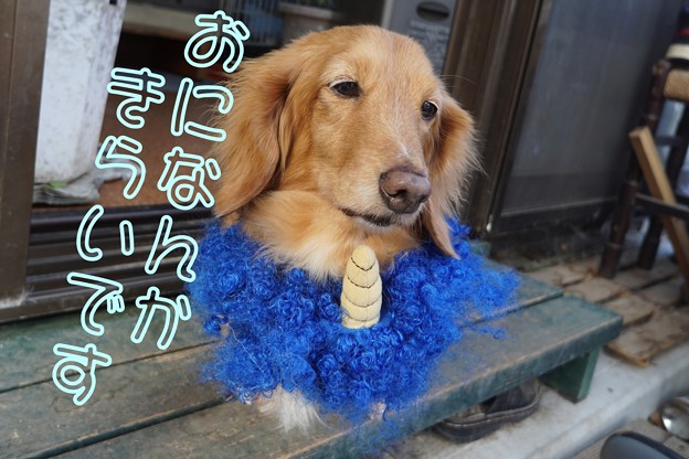 せつぶん