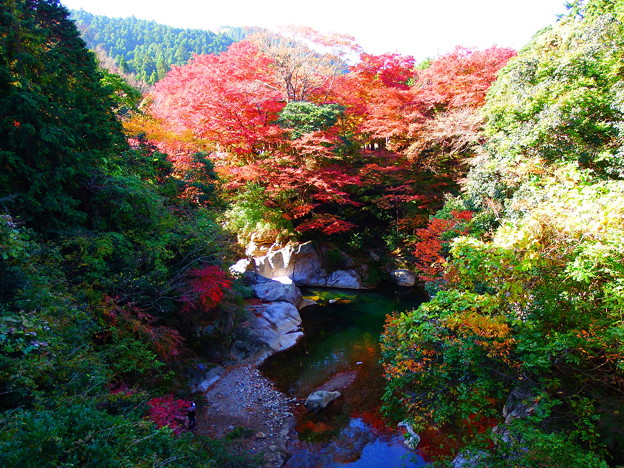 写真: 紅葉@河内渓谷