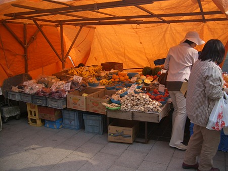能登半島2010 111