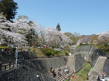 根来寺2011 033