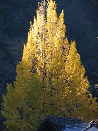 DSCF9416_R