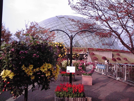とっとり花回廊