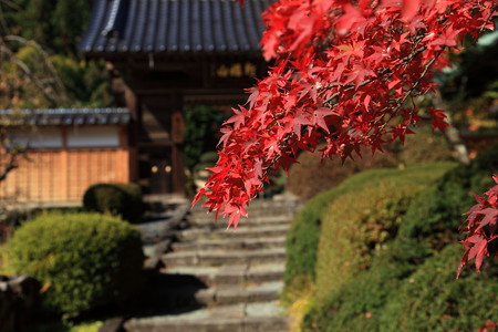 岩波観音の紅葉２