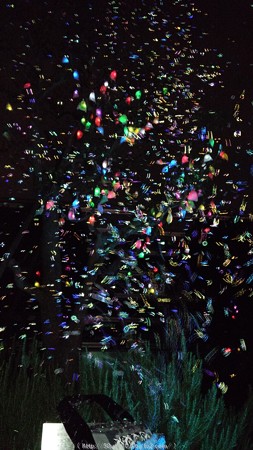 ひかりの実inジョイナス(夜) (26)