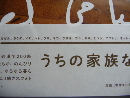 砂漠のわが家 (5)
