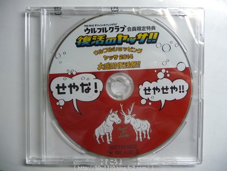 141216-ウルフルズ 復活のヤッサ Blu-ray (4)