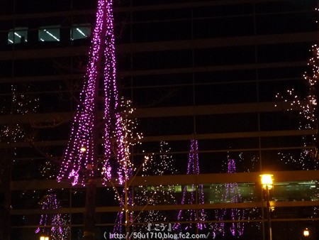 141223-大阪 御堂筋イルミネーション (27)