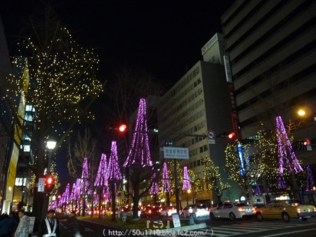141223-大阪 御堂筋イルミネーション (92)