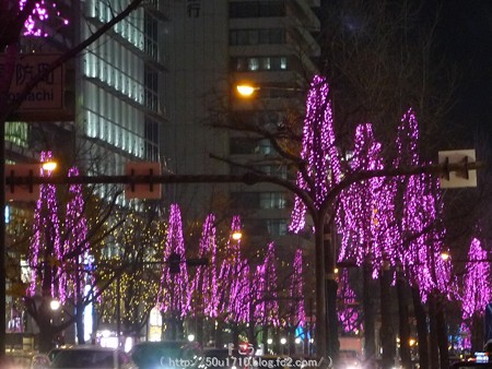 141223-大阪 御堂筋イルミネーション (96)
