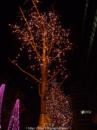 141223-大阪 御堂筋イルミネーション (111)