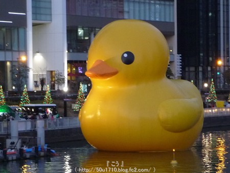 141223-大阪ほたるまち ラバーダック (7)