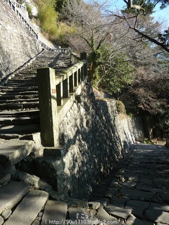 150108-久能山東照宮 参道 (39)
