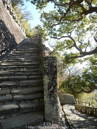 150108-久能山東照宮 参道 (58)