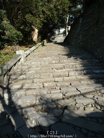 150108-久能山東照宮 参道 (76)