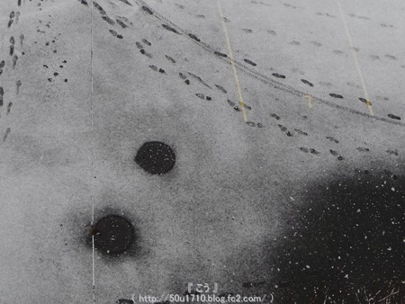 150130-雪 (2)