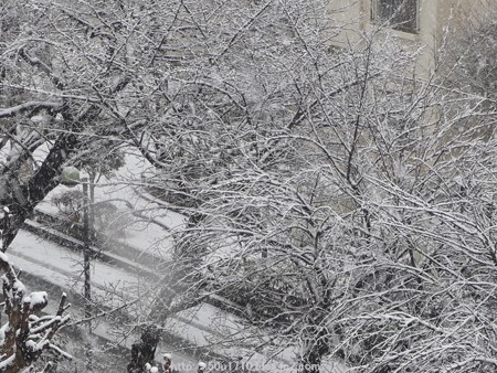 150130-雪 (5)