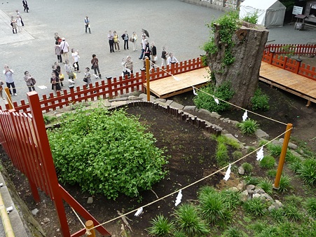 100615-八幡さま (16)