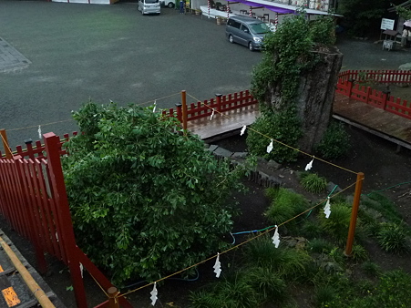 101026-八幡さま (11)