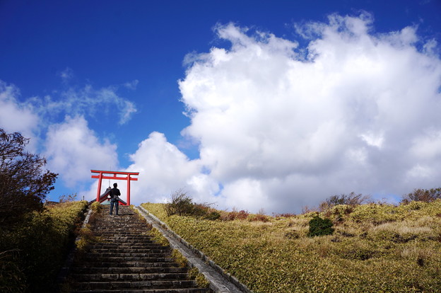 DSC08571 写真: DSC08571