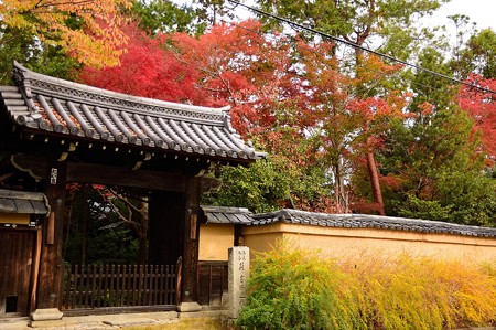 迎称寺