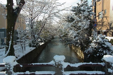高瀬川雪景色