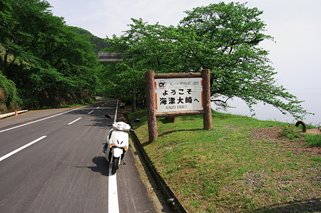 海津大崎に来ました