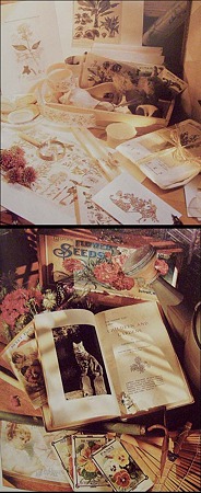 seeds3