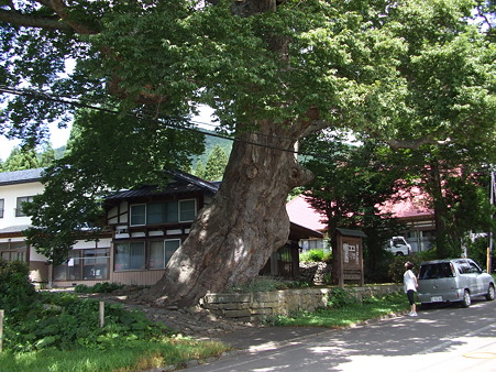 DSCF3606