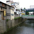 Photos: IMGP8630+1 妙正寺川を望む