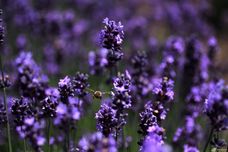 Blog_20140706_009