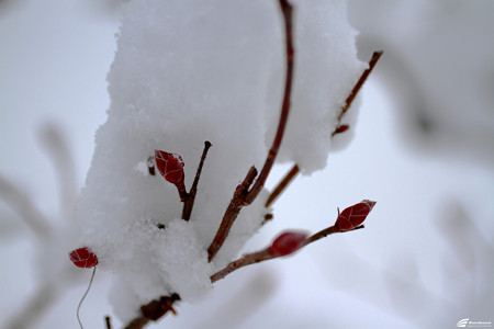 Blog_20141206_001