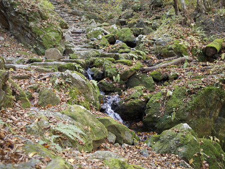 岩と水と苔の道