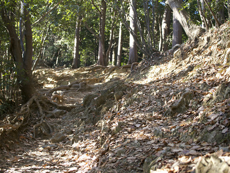 木漏れ日の山道(1)