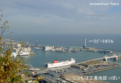 港と地中海が見えた
