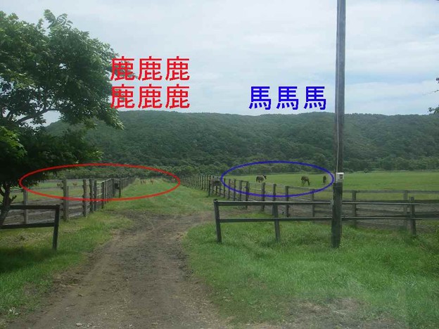 20100728_113233