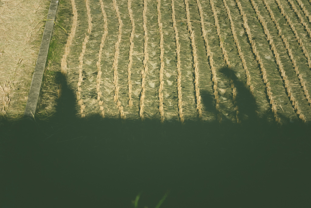 IMG_1196 写真: IMG_1196