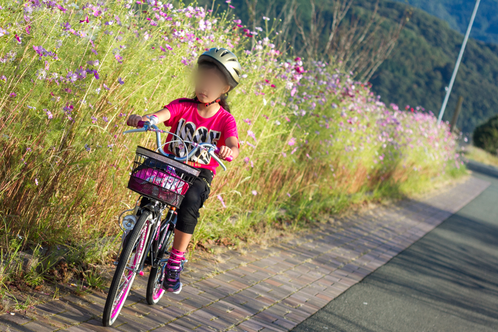 IMG_1209 写真: IMG_1209