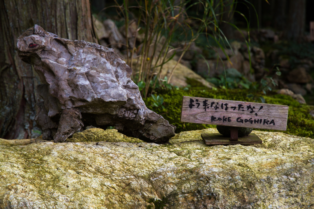 写真: IMG_3278