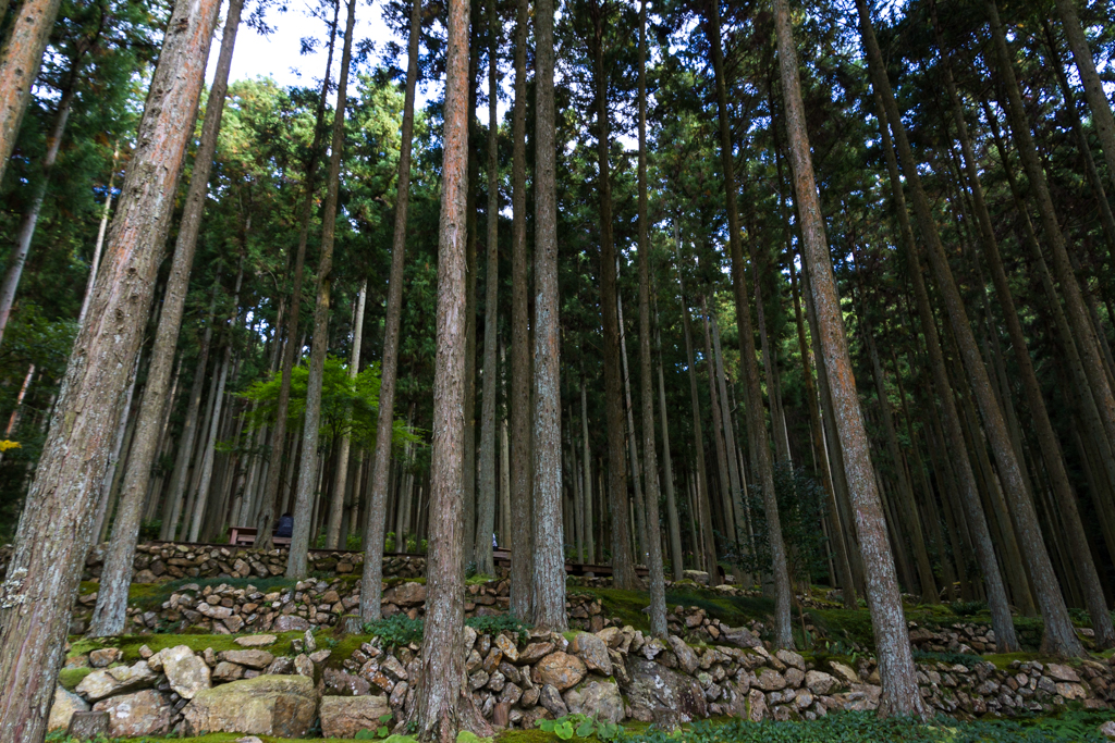写真: IMG_3281